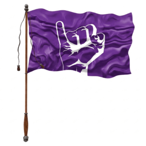 drapeau de dignité rdc